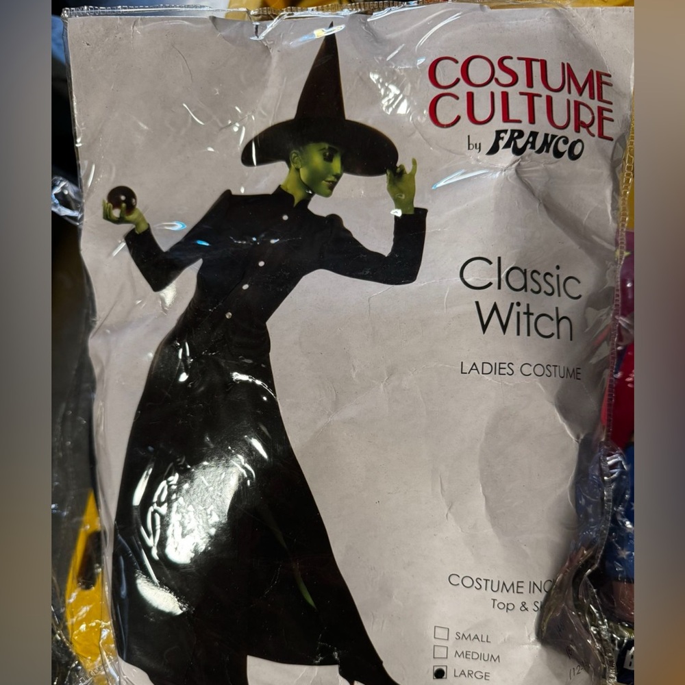 Classic Wicked Witch women’s Costume - Black